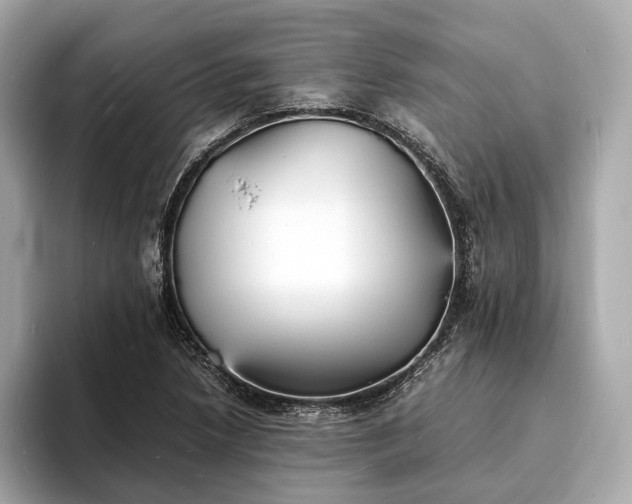 X0000094061218200710261218