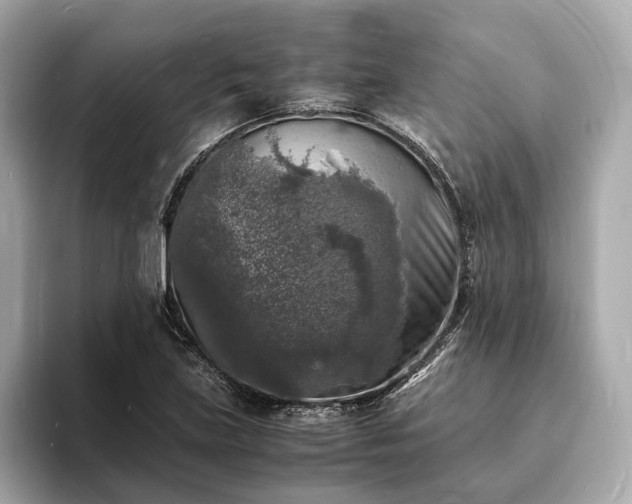X0000094061219200710261218