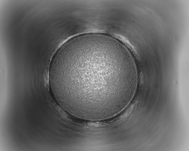 X0000094061220200710261218