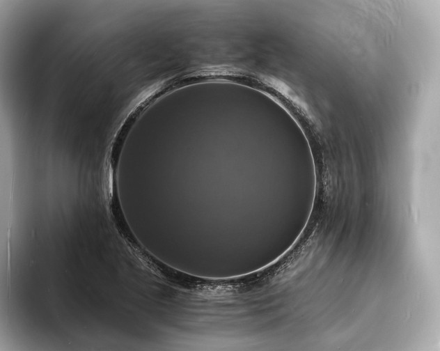 X0000094061221200710261218