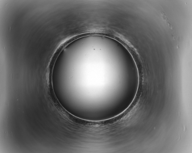 X0000094061222200710261218