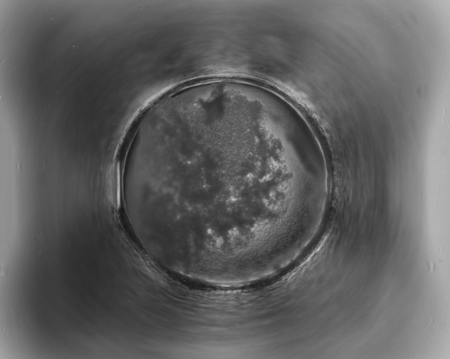 X0000094061223200710261218