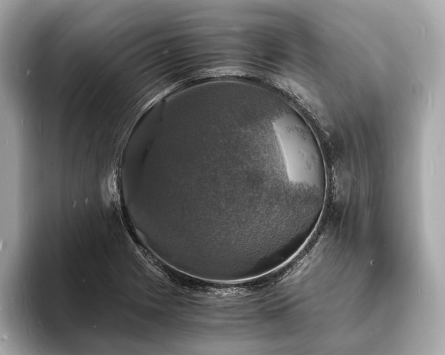 X0000094061225200710261218