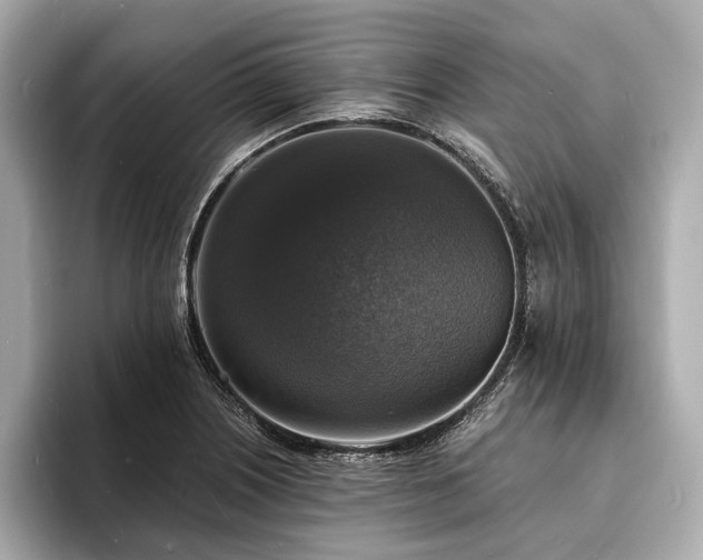 X0000094061226200710261219