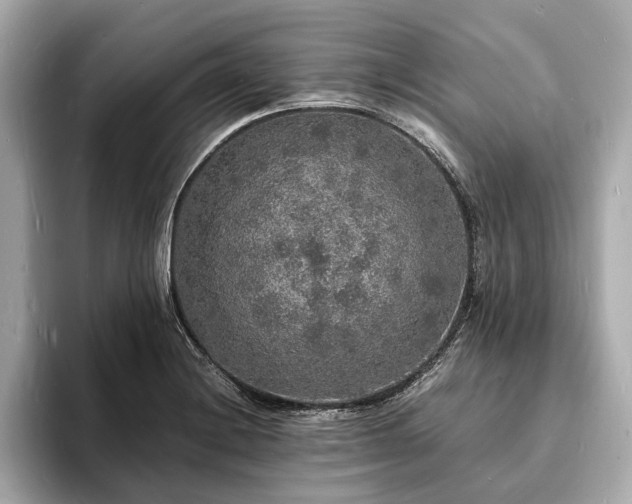 X0000094061228200710261219