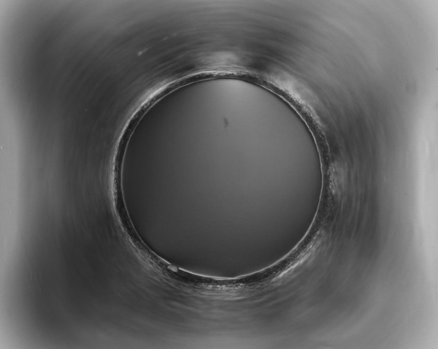 X0000094061229200710261219