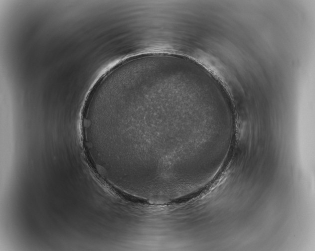 X0000094061230200710261219