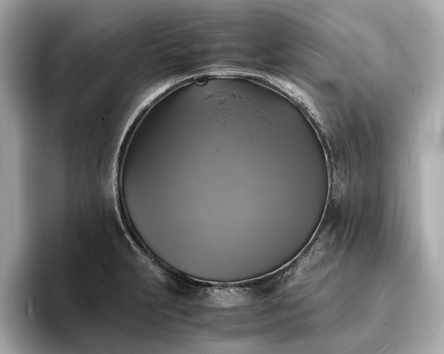 X0000094061231200710261219