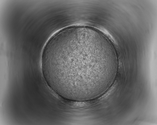 X0000094061232200710261219