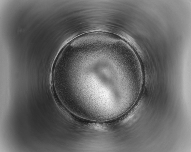 X0000094061234200710261219