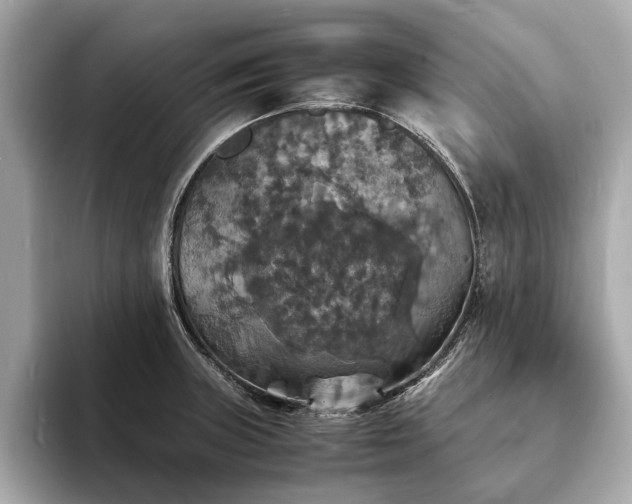 X0000094061235200710261219