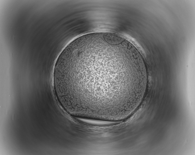 X0000094061236200710261219