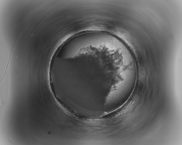 X0000094061237200710261219