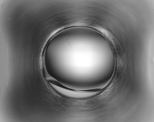 X0000094061238200710261219