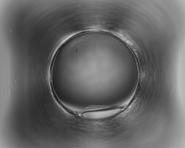 X0000094061239200710261219