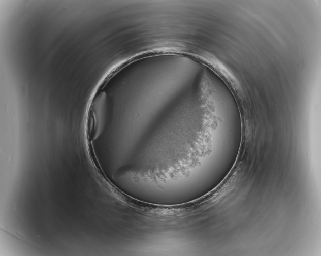 X0000094061240200710261219