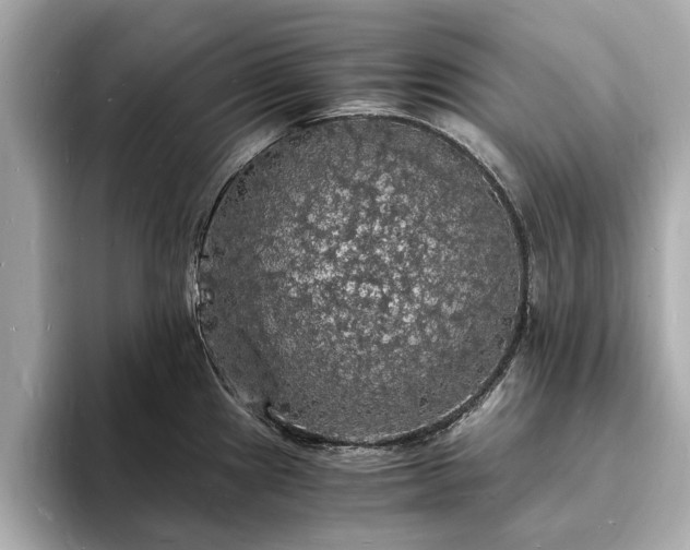 X0000094061241200710261219