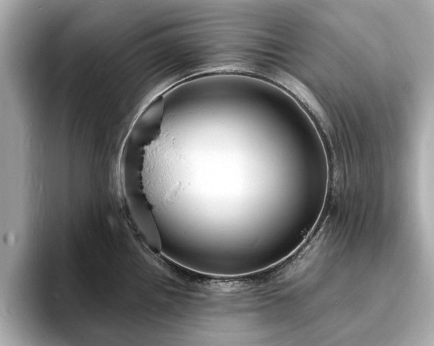 X0000094061242200710261219
