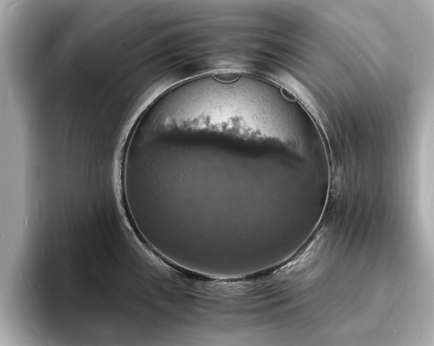 X0000094061243200710261219