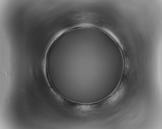 X0000094061245200710261219