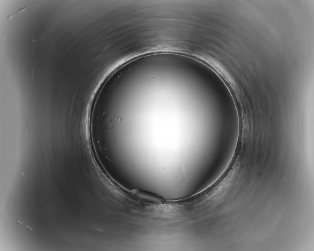 X0000094061246200710261219