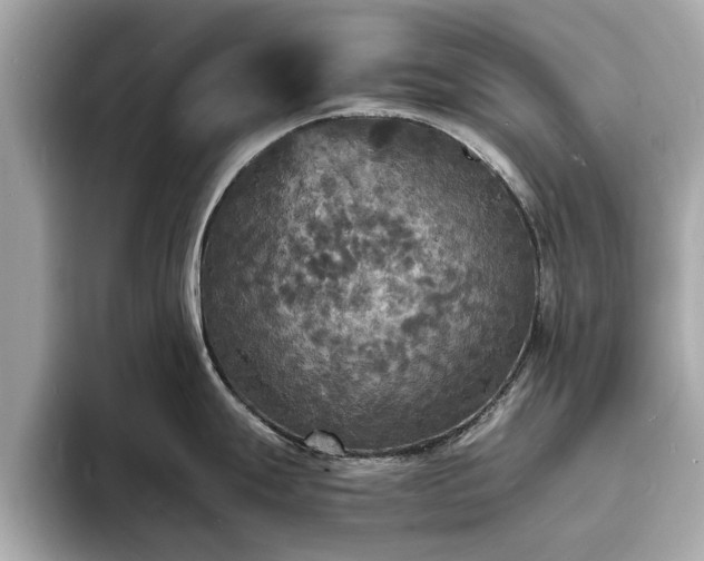 X0000094061247200710261219