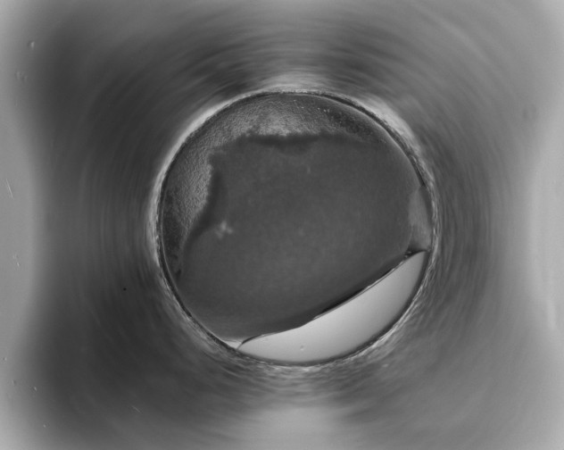 X0000094061248200710261219