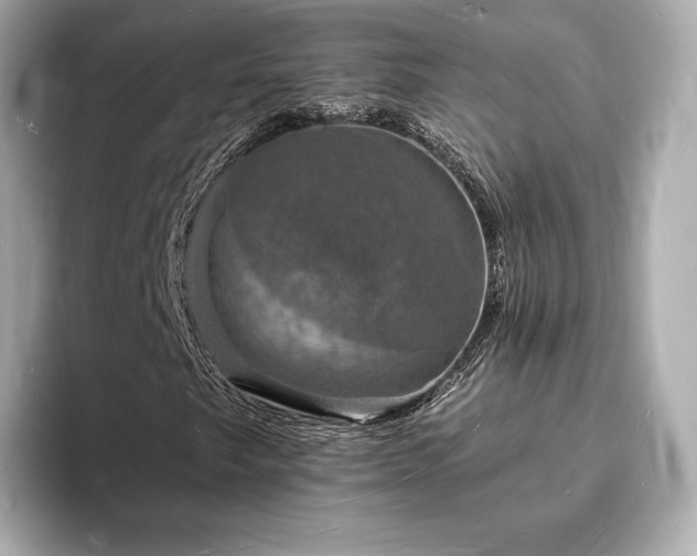 X0000094061249200710261218