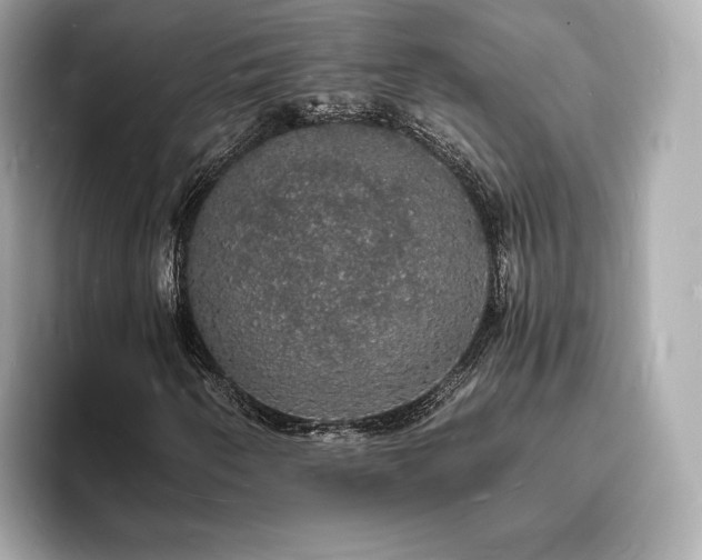 X0000094061250200710261218