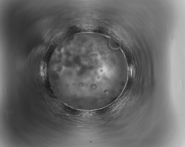 X0000094061251200710261218