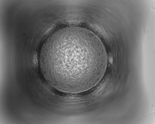 X0000094061252200710261218