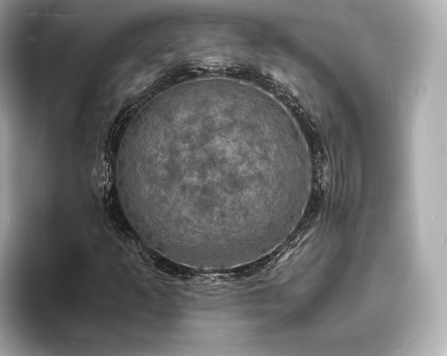 X0000094061253200710261218