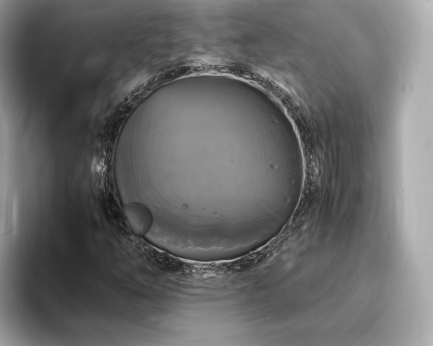 X0000094061254200710261218