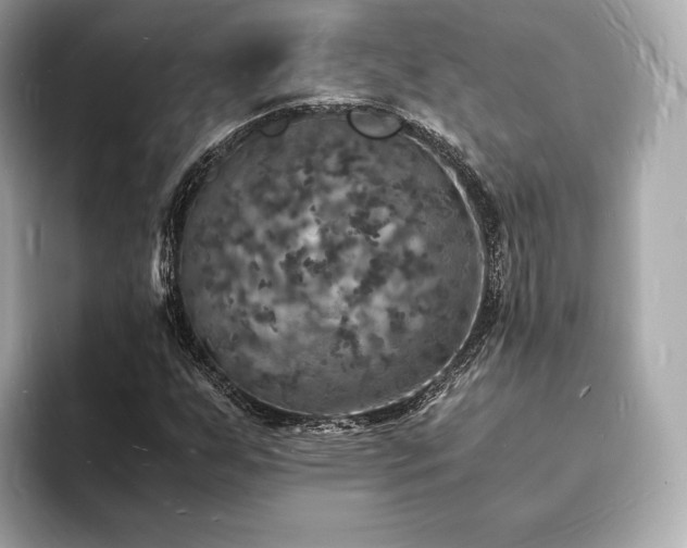 X0000094061255200710261218