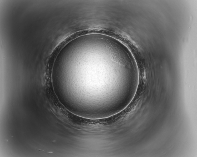 X0000094061256200710261218