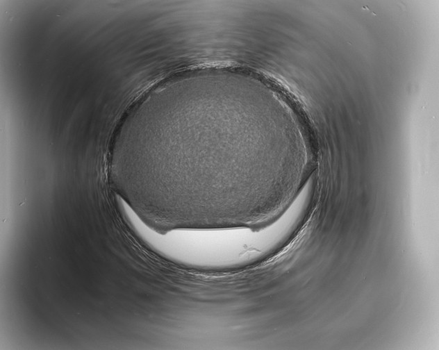 X0000094061257200710261218