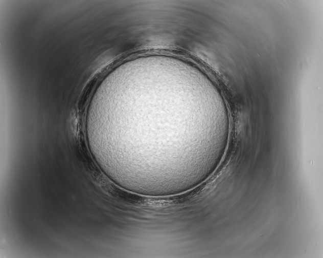 X0000094061258200710261218