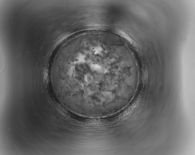 X0000094061259200710261218