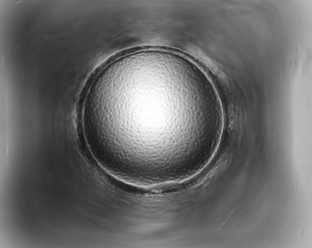 X0000094061264200710261218