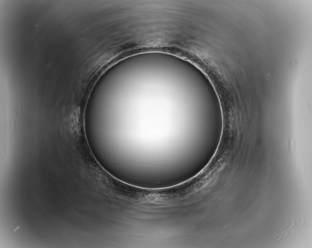 X0000094061265200710261218