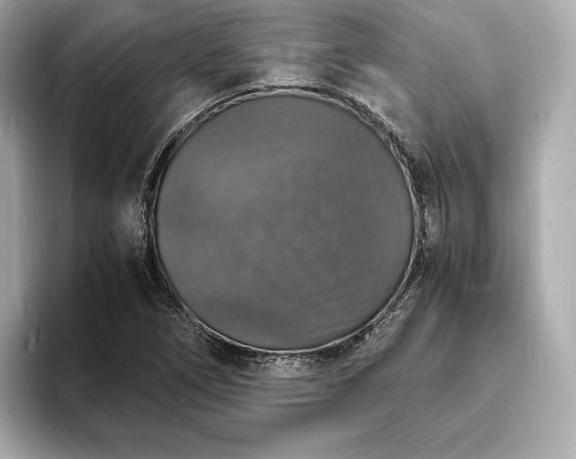 X0000094061266200710261218