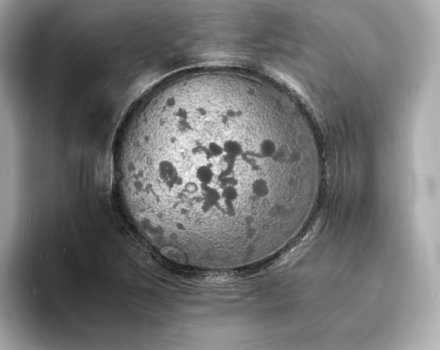 X0000094061267200710261218