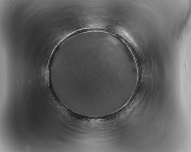 X0000094061268200710261218