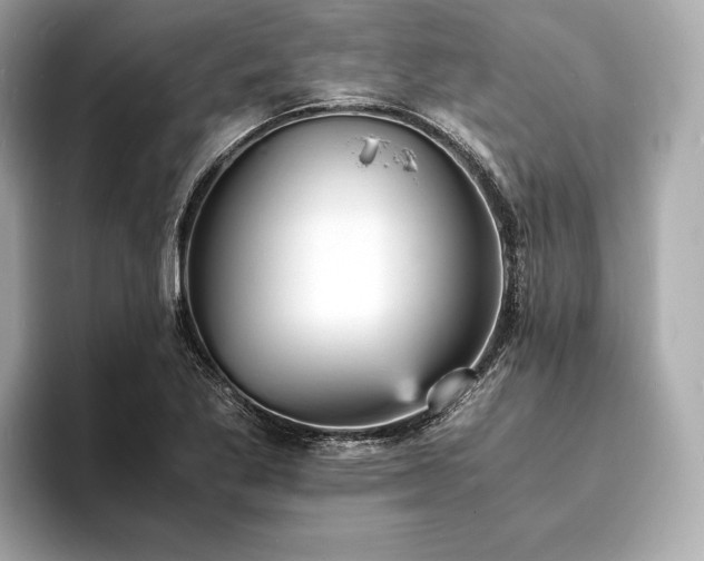 X0000094061269200710261218