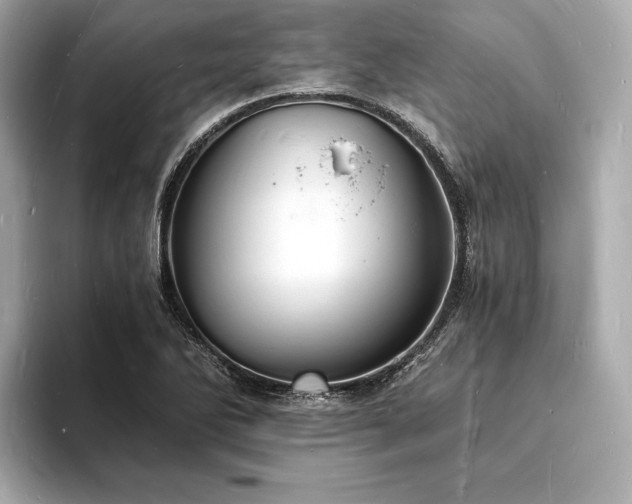 X0000094061270200710261218