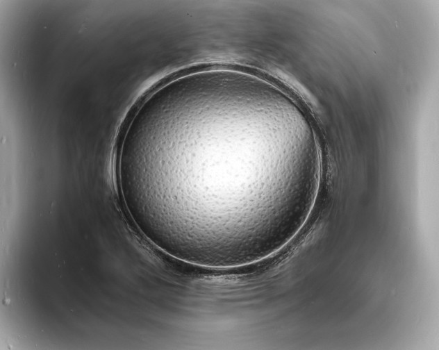 X0000094061272200710261218