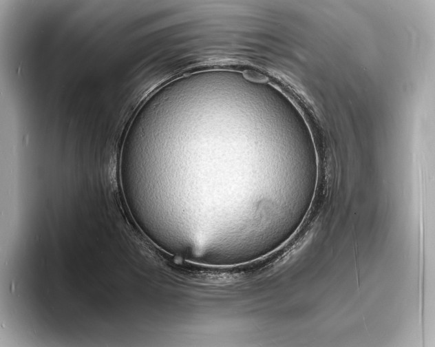 X0000094061273200710261218