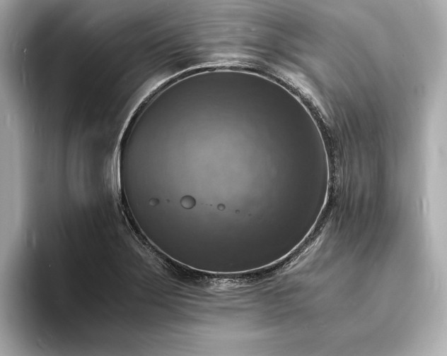 X0000094061275200710261218