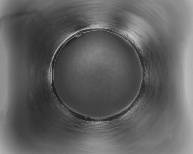 X0000094061276200710261218