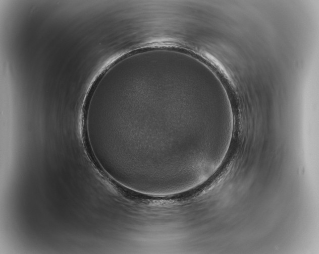 X0000094061277200710261218